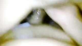 देसी बिल्ली Squirts