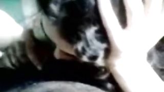 भारतीय देसी एक