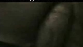 तंग में भारतीय गधा