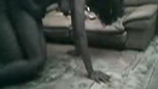 पंजाबी जोड़ी