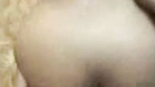 कुत्ते शैली पीओवी