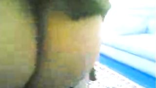 सेक्सी गधा