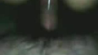 Gori punjali भाभी अच्छी तरह fucks