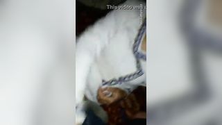 सेक्स स्कैंडल्स की हॉट पंजाबी भाभी प्रेमी के साथ