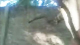 सेक्सी वीडियो देसी एमएमएस