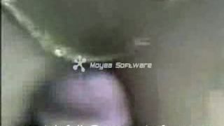 तमिल में गांव Fari