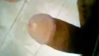 मुर्गा को पथपाकर पीओवी