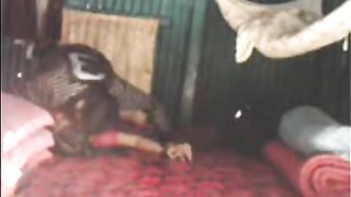 भाभी के बूब्स और चूत के साथ खेलते हुए